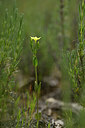 BUITEN BEELD Foto: 438532