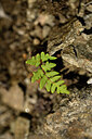 BUITEN BEELD Foto: 438534