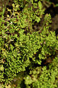 BUITEN BEELD Foto: 438537