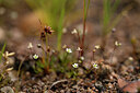 BUITEN BEELD Foto: 438538