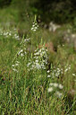 BUITEN BEELD Foto: 438539