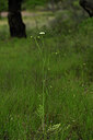 BUITEN BEELD Foto: 438542