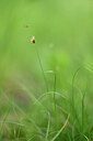 BUITEN BEELD Foto: 438551