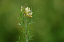 BUITEN BEELD Foto: 438556
