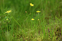 BUITEN BEELD Foto: 438557