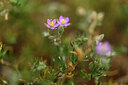 BUITEN BEELD Foto: 438558