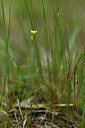 BUITEN BEELD Foto: 438559