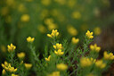 BUITEN BEELD Foto: 438562