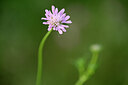 BUITEN BEELD Foto: 438564