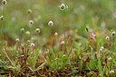 BUITEN BEELD Foto: 438568