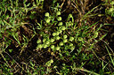 BUITEN BEELD Foto: 438570