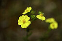 BUITEN BEELD Foto: 438571