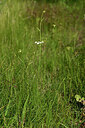 BUITEN BEELD Foto: 438582