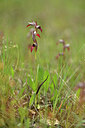 BUITEN BEELD Foto: 438584