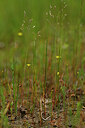 BUITEN BEELD Foto: 438587