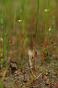BUITEN BEELD Foto: 438593