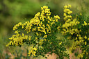 BUITEN BEELD Foto: 438602