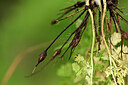 BUITEN BEELD Foto: 438603