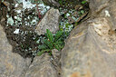BUITEN BEELD Foto: 438604