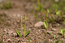 BUITEN BEELD Foto: 438606