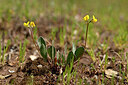 BUITEN BEELD Foto: 438608