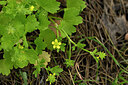 BUITEN BEELD Foto: 438611