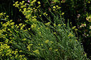BUITEN BEELD Foto: 438613