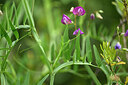 BUITEN BEELD Foto: 438618