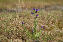 BUITEN BEELD Foto: 438621