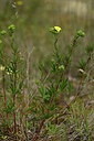 BUITEN BEELD Foto: 438622