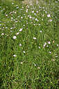 BUITEN BEELD Foto: 438625