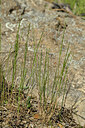 BUITEN BEELD Foto: 438627