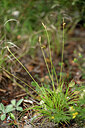 BUITEN BEELD Foto: 438630