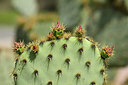 BUITEN BEELD Foto: 438633