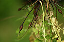 BUITEN BEELD Foto: 438638