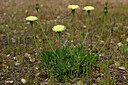 BUITEN BEELD Foto: 438640
