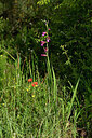 BUITEN BEELD Foto: 438643