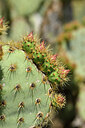 BUITEN BEELD Foto: 438650
