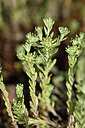 BUITEN BEELD Foto: 438652