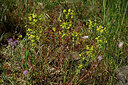 BUITEN BEELD Foto: 438657