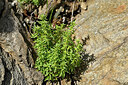 BUITEN BEELD Foto: 438660