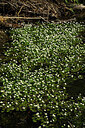 BUITEN BEELD Foto: 438661