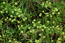 BUITEN BEELD Foto: 438667
