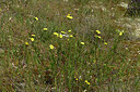 BUITEN BEELD Foto: 438668