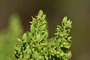BUITEN BEELD Foto: 438669