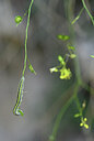 BUITEN BEELD Foto: 438670