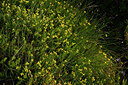 BUITEN BEELD Foto: 438673