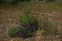 BUITEN BEELD Foto: 438675