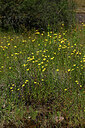 BUITEN BEELD Foto: 438676