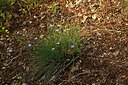 BUITEN BEELD Foto: 438677